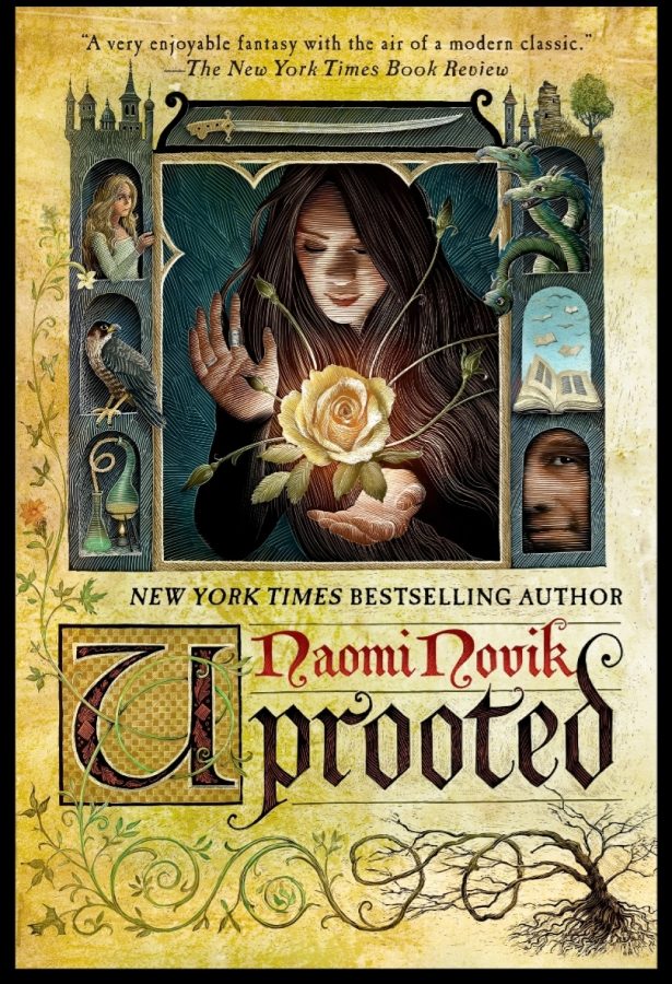 This is what the book cover looks like. I think it looks fancy with Agnieszka holding her hallucination spell, which is a flower at the moment.