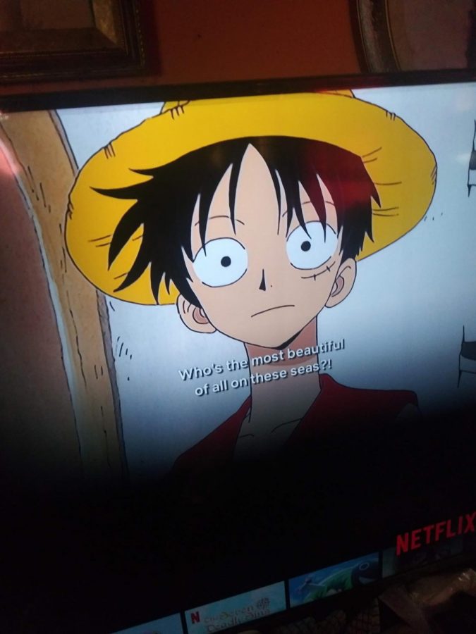 This is the show Ive been watching during the pandemic (One Piece)
