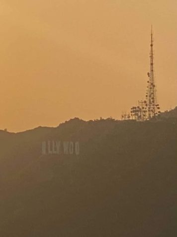 I went on a run in Griffith Park and saw the Hollywood sign.
