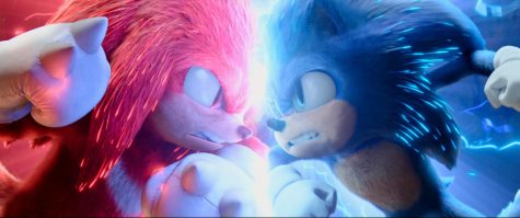 Sonic and Knunckles are fighting against each other.

