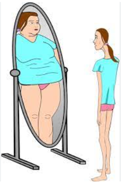 How a person with anorexia perceives themself.