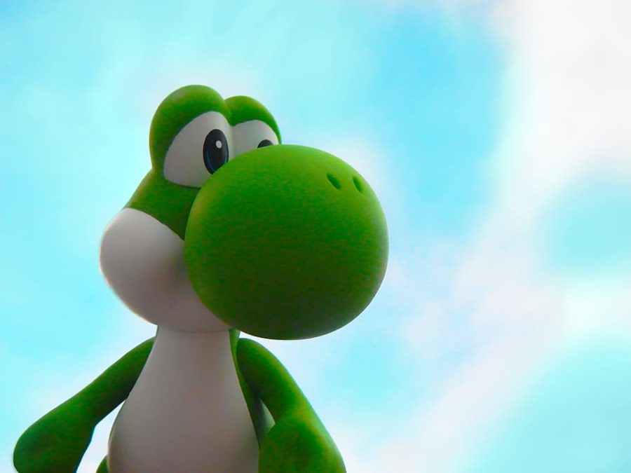 Picture+of+Yoshi+and+the+sky.