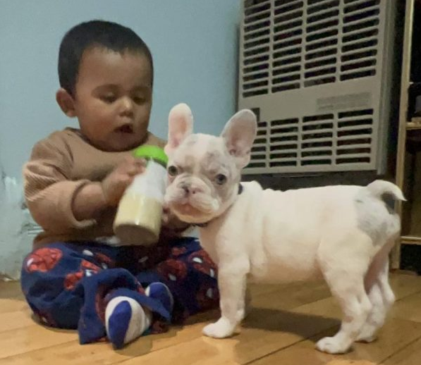 Bambam playing with my little brother PJ!