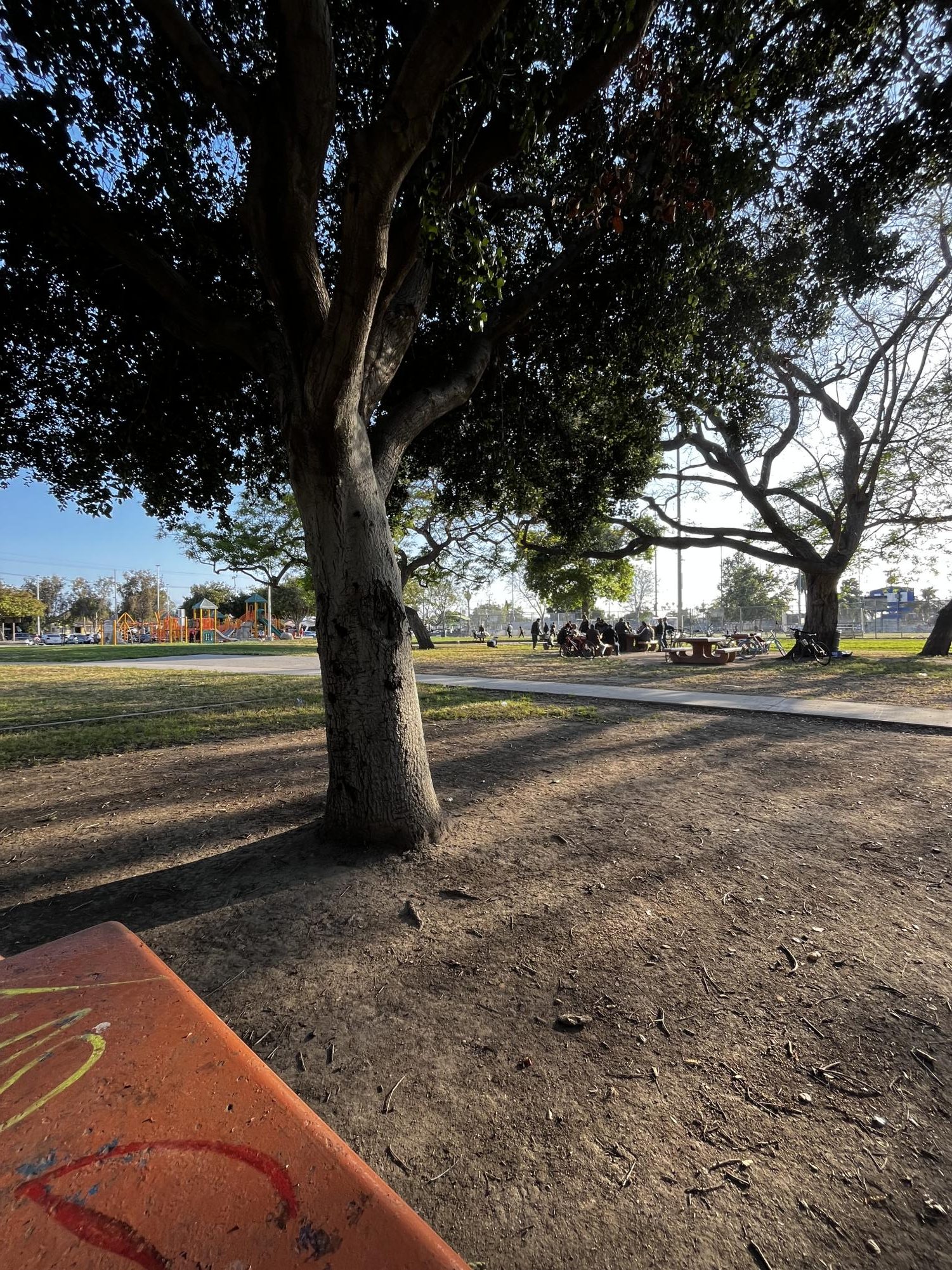 A journey to Gilbert Lindsey Park – Bulldog Bugle