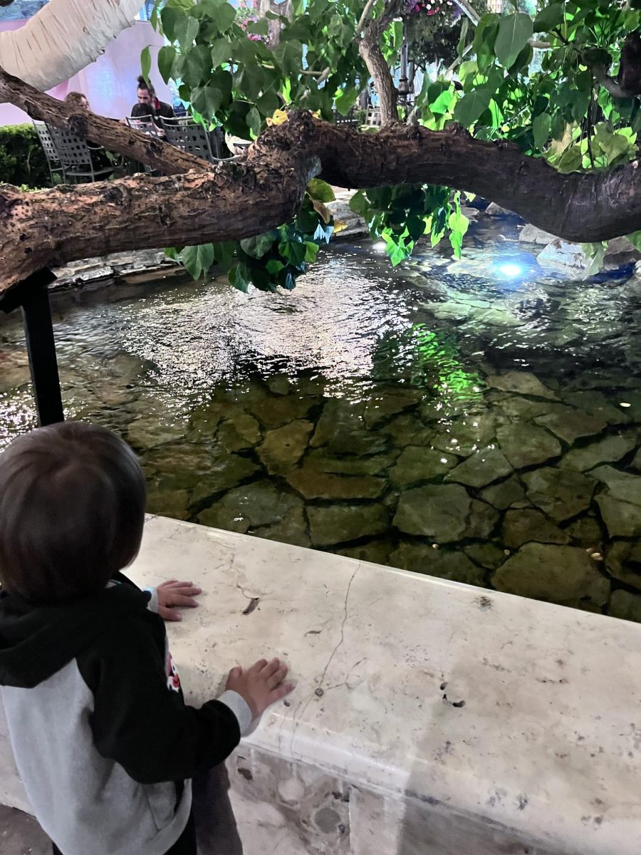 Julian and I looking at the fountain at the mall.