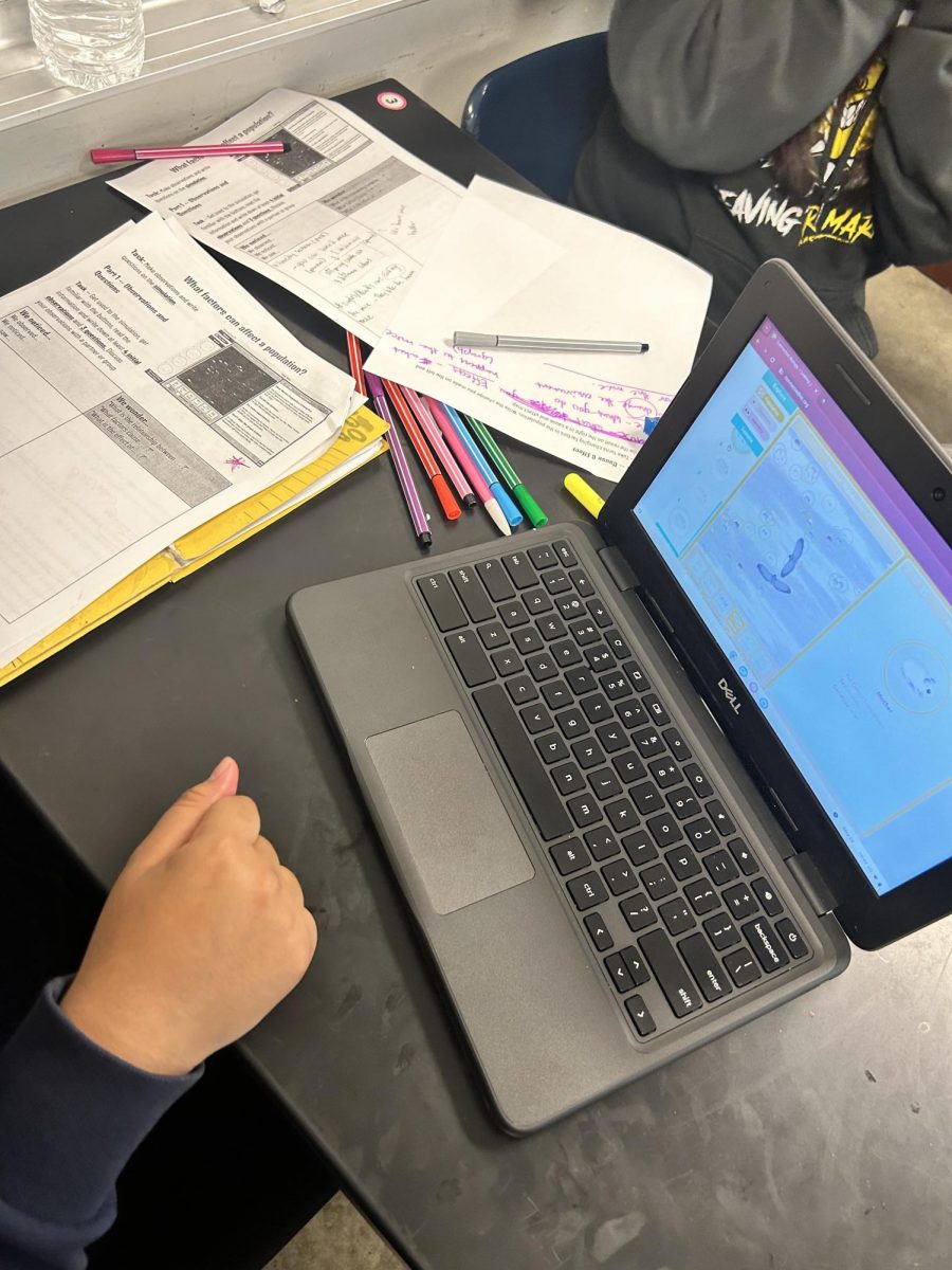 Students in Jacqueline Alamillas class doing work. They are working on how horse mice reproduce and how they survive in different environments.