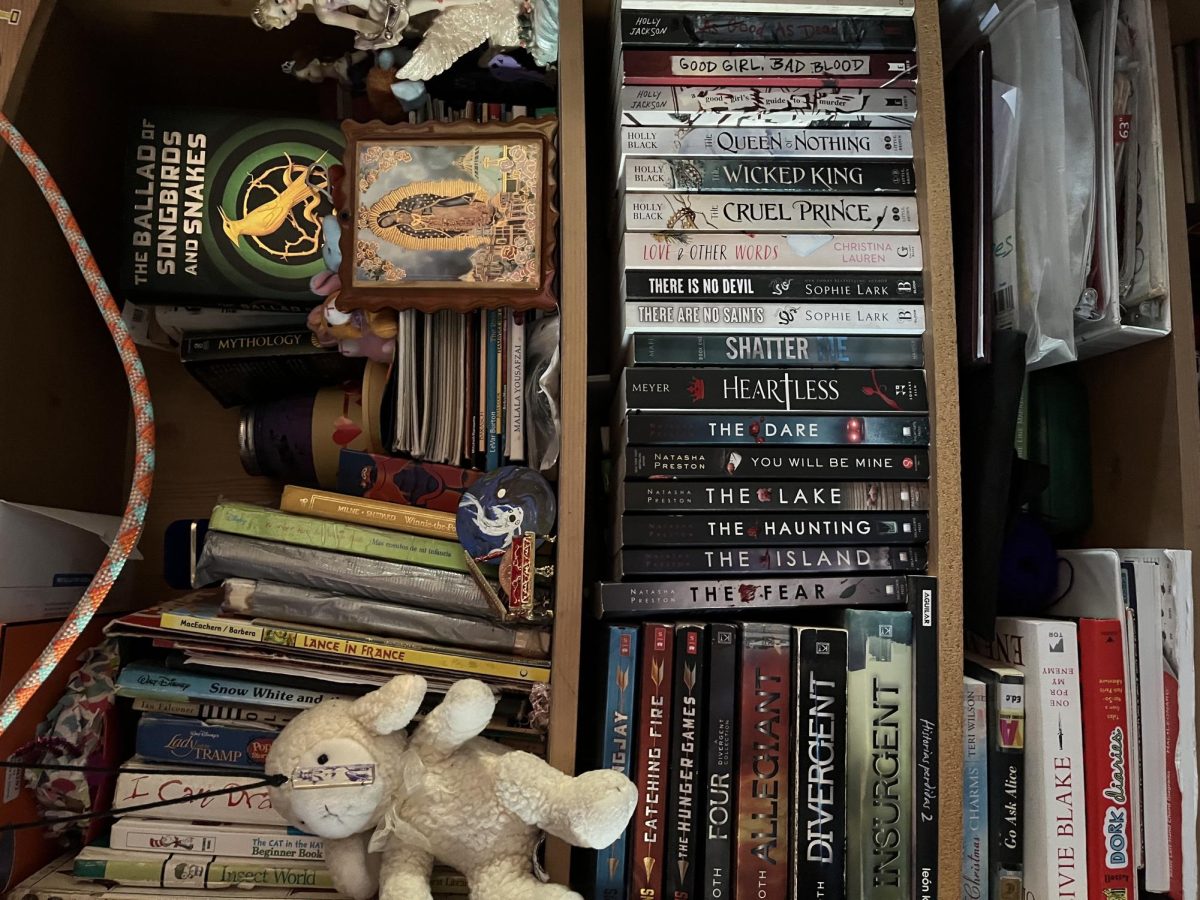 Janet's bookshelf at home.