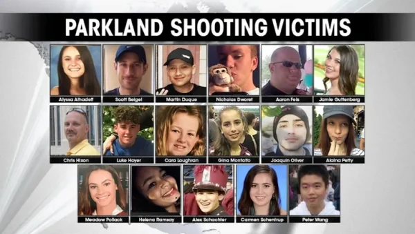 The Parkland shooting