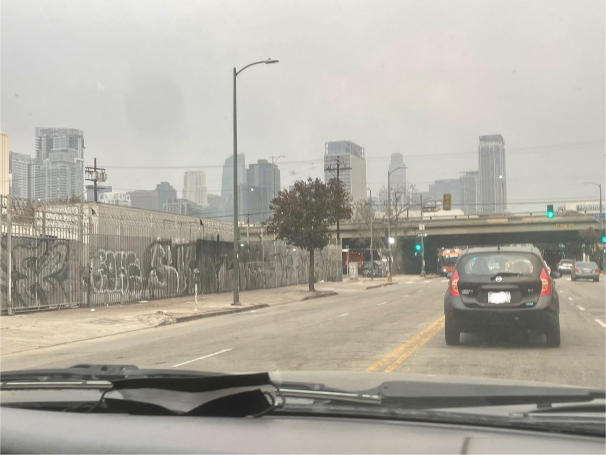 L.A. on the day of the fires.