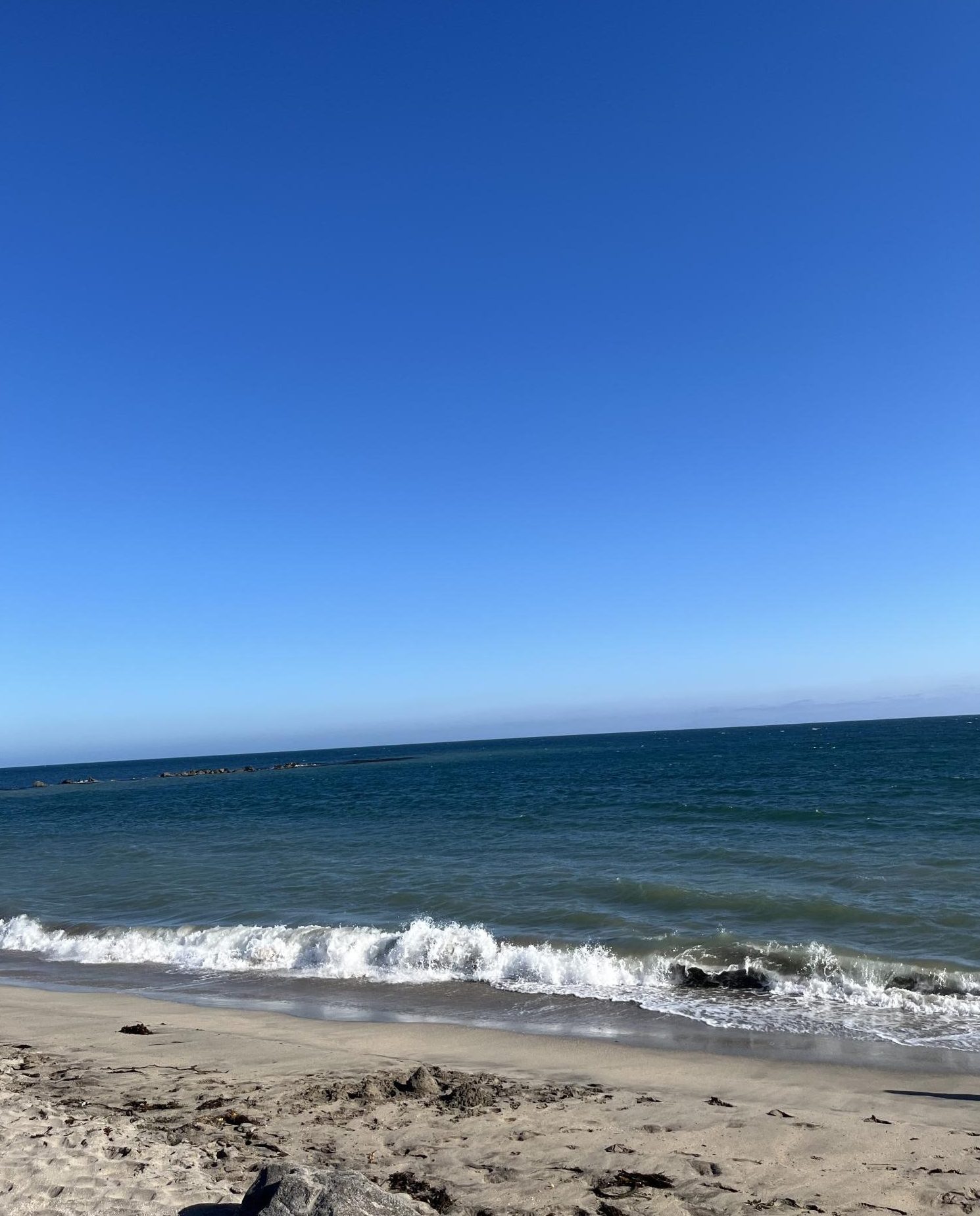 A beach in San Diego Sindy Gamino and her family went to. 