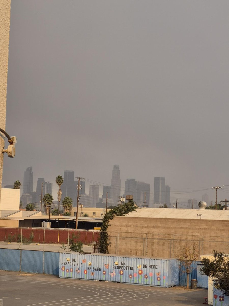 A picture of buildings in downtown LA from a distance with smoke from LA fires.