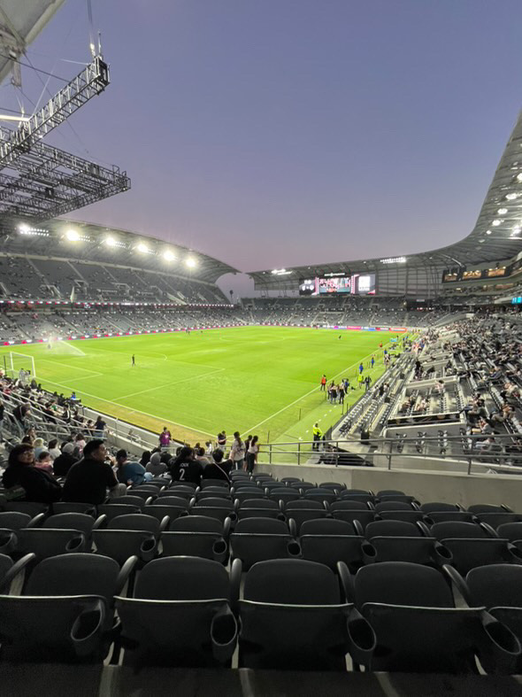 Diana at a game in a stadium. 