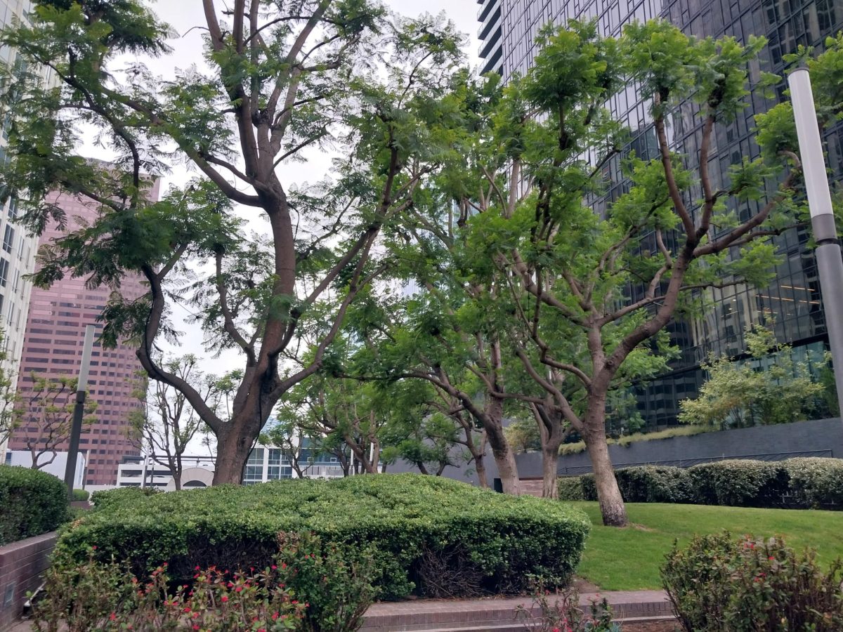 A public garden at downtown.