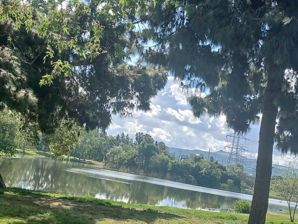 Better view of the pond with the clouds in the background at Whittier Narrows Park.