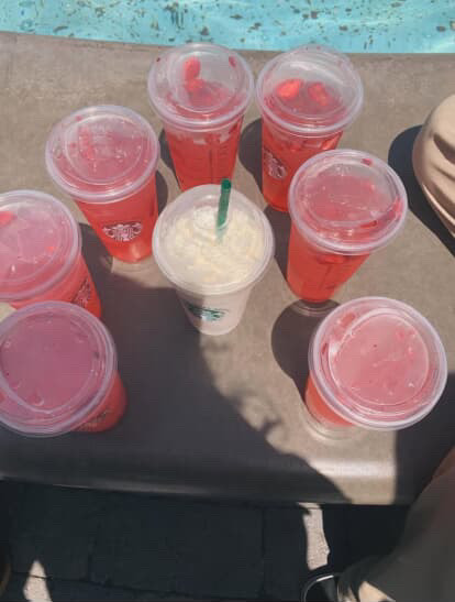 My groups drinks from Starbucks.
