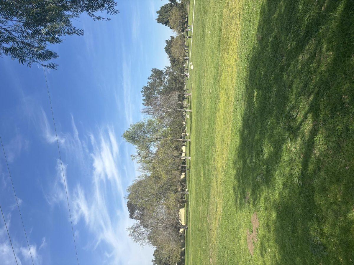 A picture I took at a Park.