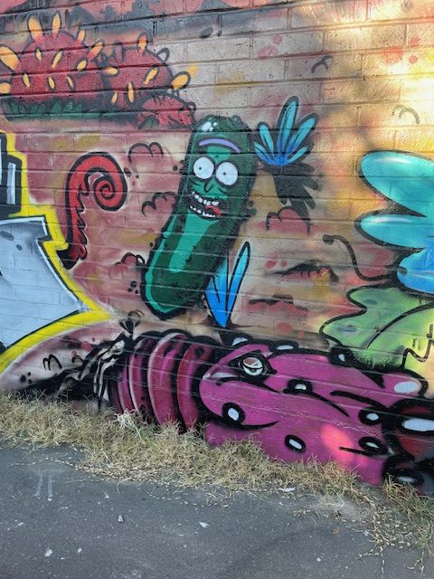 I decided to take a picture of this spray painting I saw which was Rick and Morty, which spray painter artists come once a year to change the design and images of the wall. 
