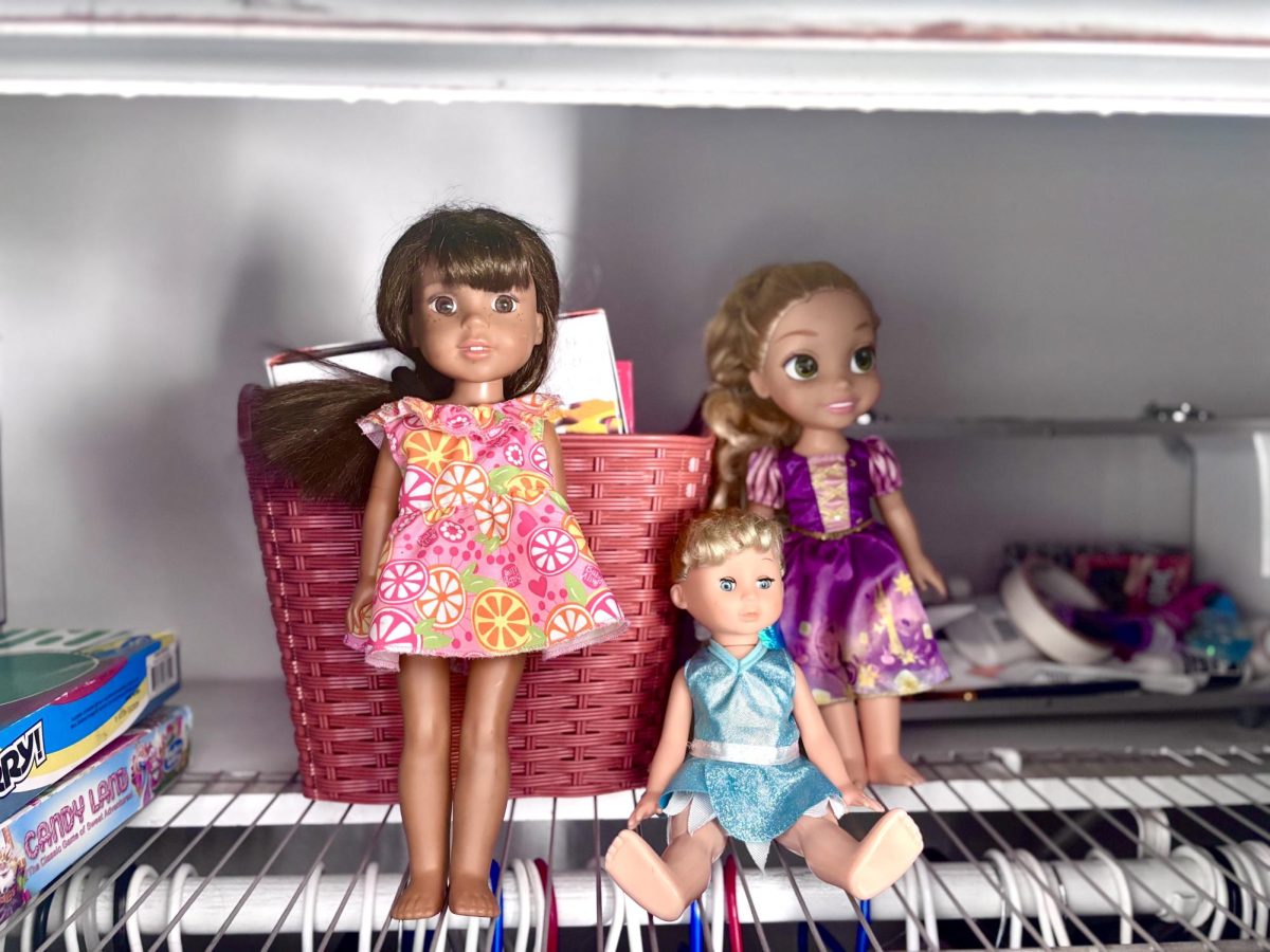 These are three childhood dolls that are placed on a shelf in my closet. On the left is an American Girl doll (Ashlyn), in the middle is a doll gifted to me by my uncle, and on the right is a Disney, Rapunzel doll. I remember playing with these dolls the most, which is why I still have them. Looking at them brings me memories that were filled with smiles and funny moments with my family.