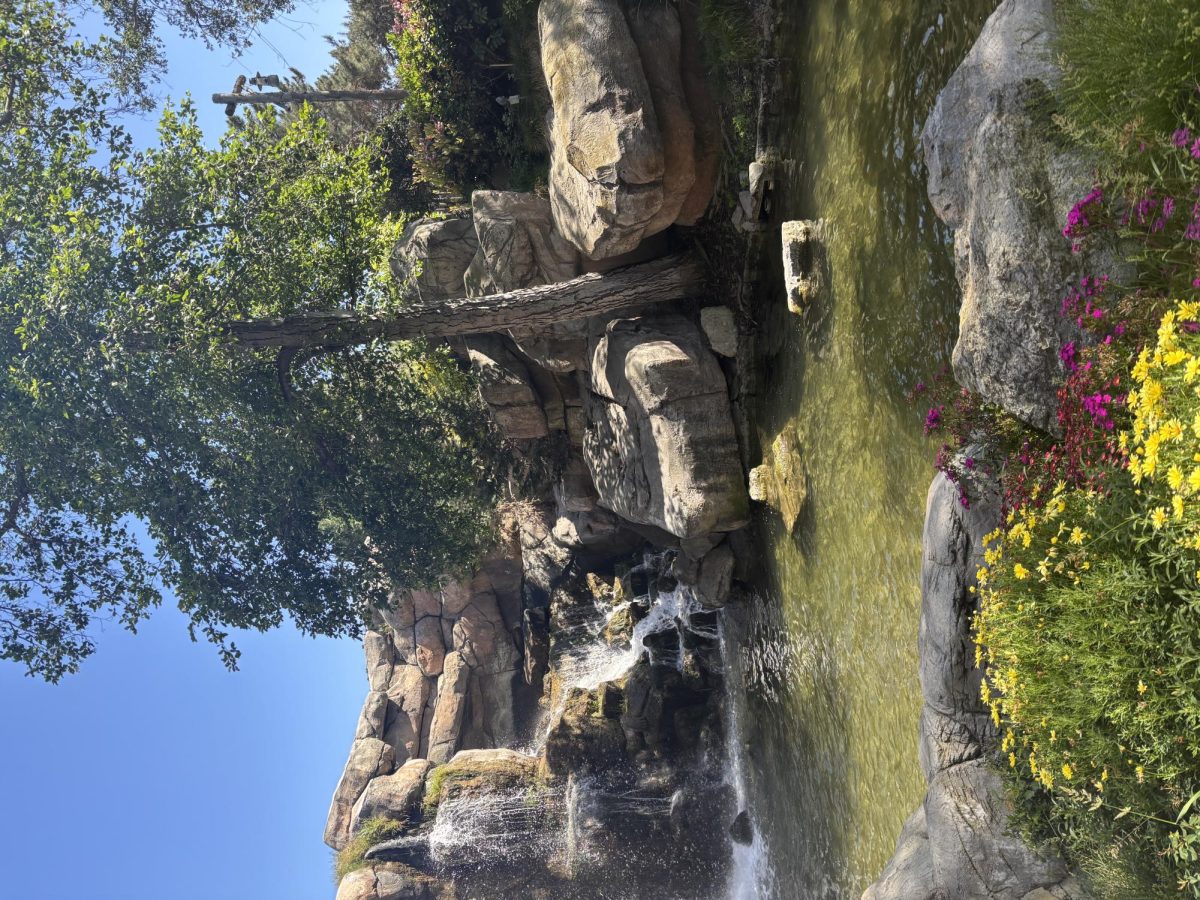 A picture I took at Knott’s Berry Farm.