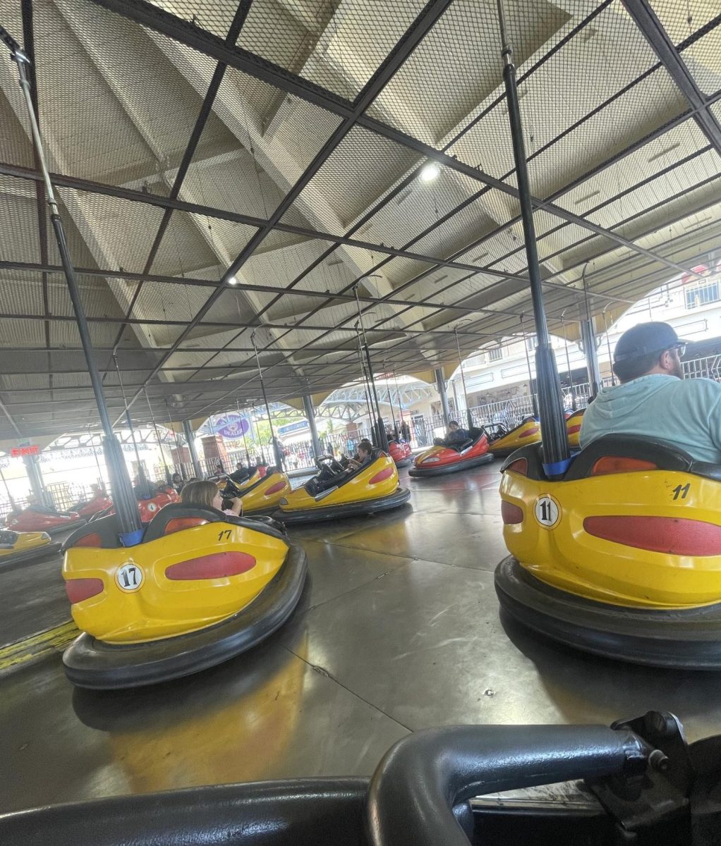 At the Wheeler Dealer Bumper Cars.