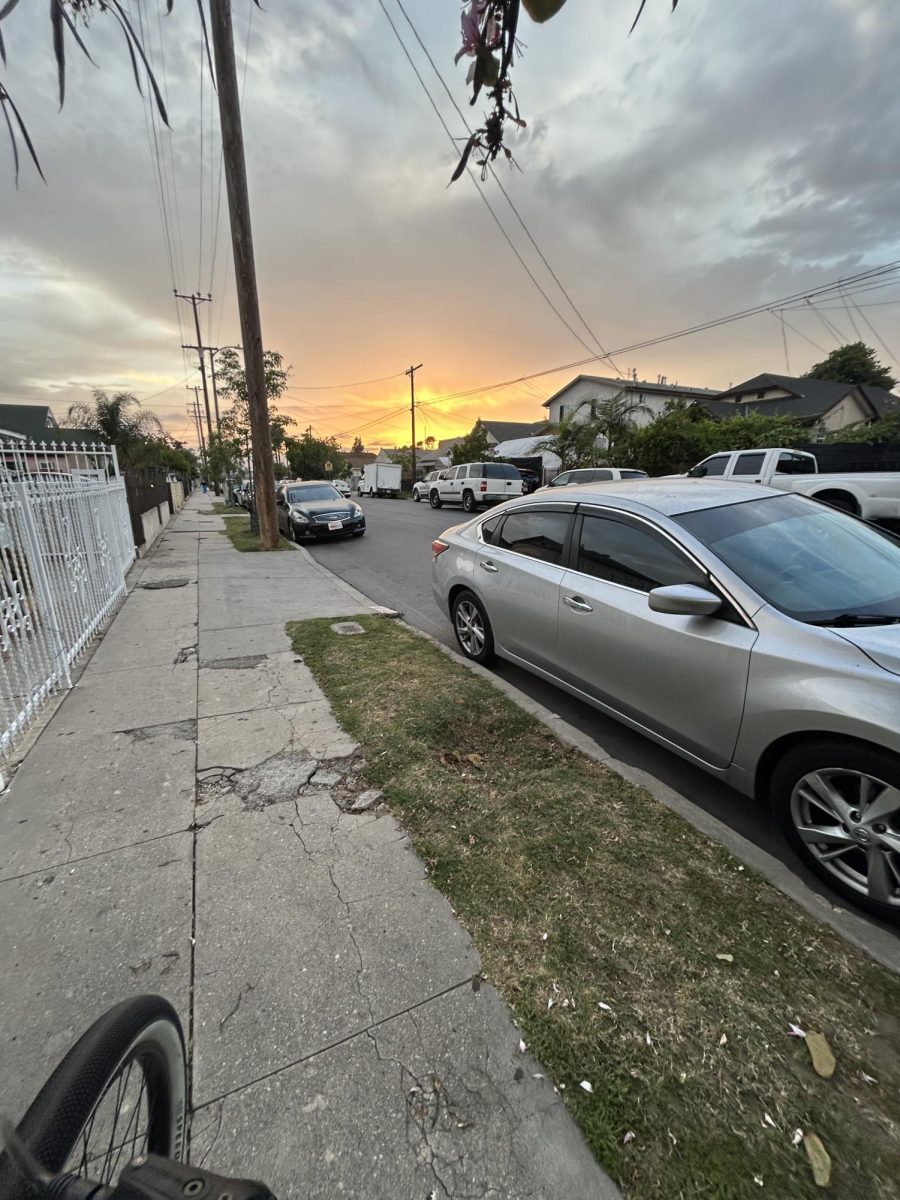Picture of the sunset while riding my bike.