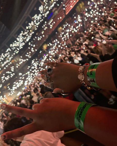 My cousin and I taking a picture of the wristbands we got at the concert. (I'm the one with the rings and bracelet.)
