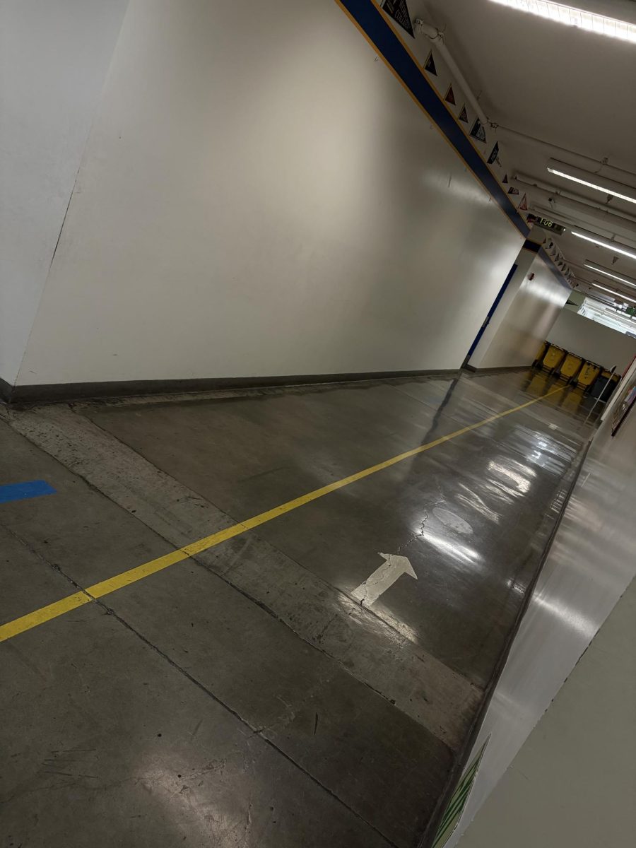 second set hallway where many eighth graders cross every week