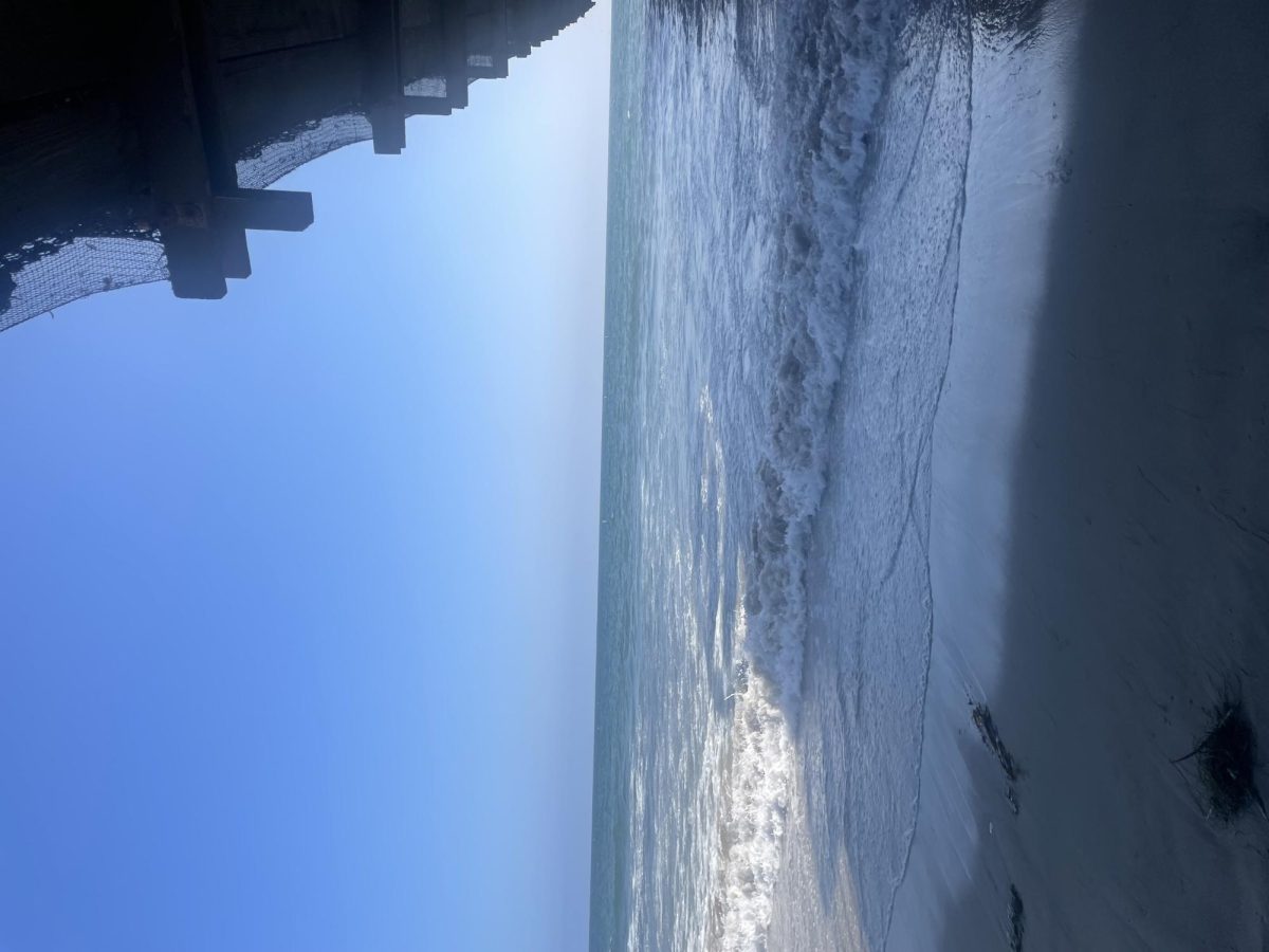 Boats at the 