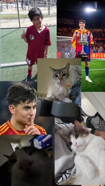 Collage of photos of Anthony, his cats, and his favorite players