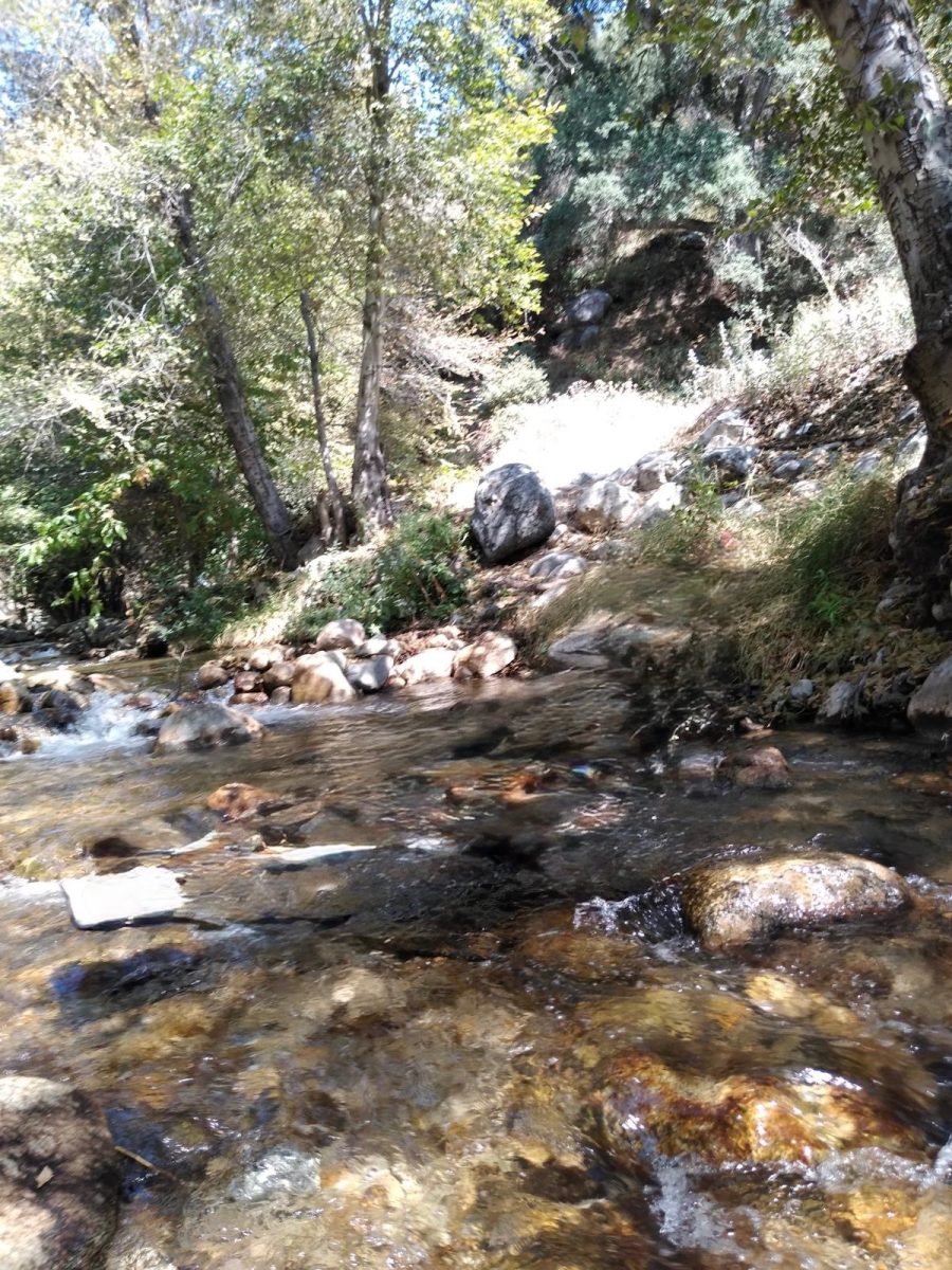 A picture I took at a River