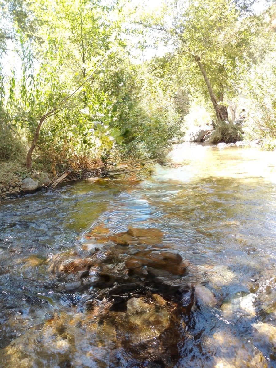 A picture I took at a river.
