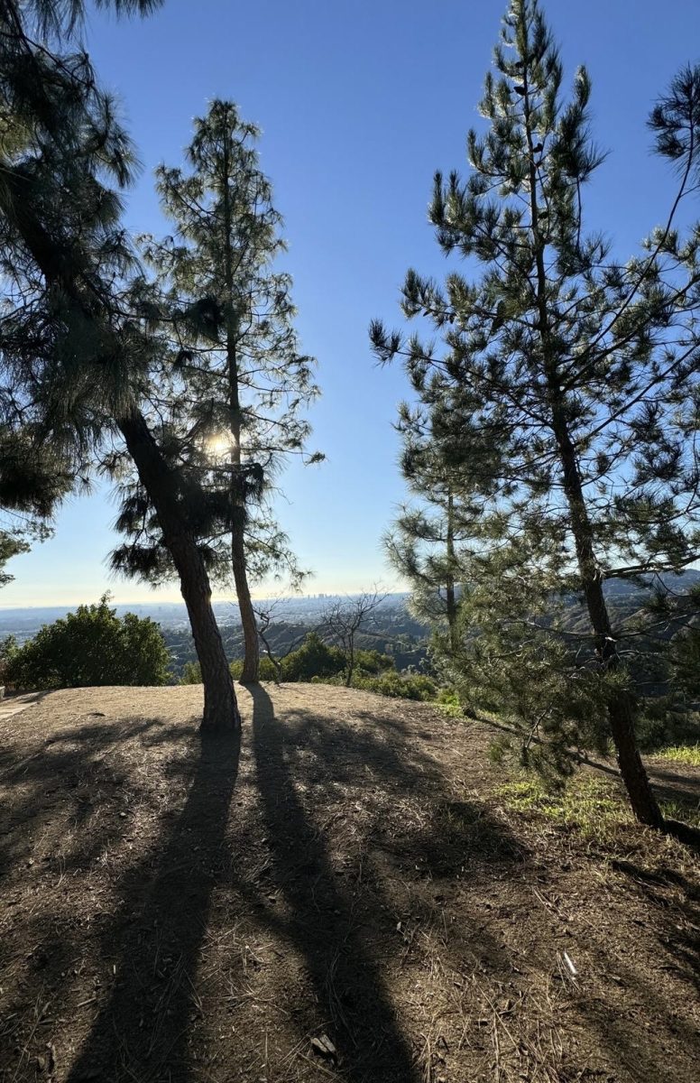 A picture I took on top of a mountain.