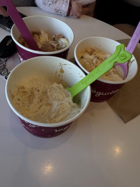 Yogurtland with mom and sister.