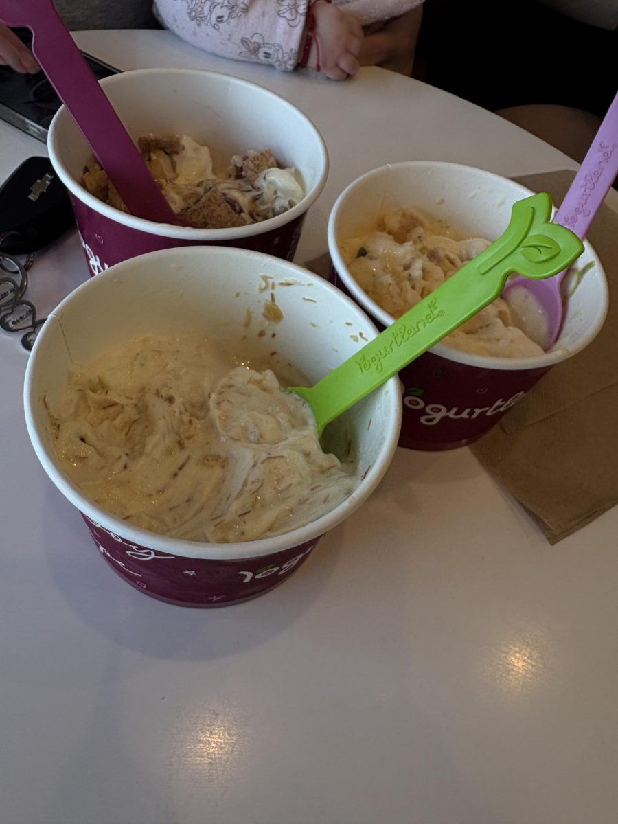 Yogurtland with mom and sister.