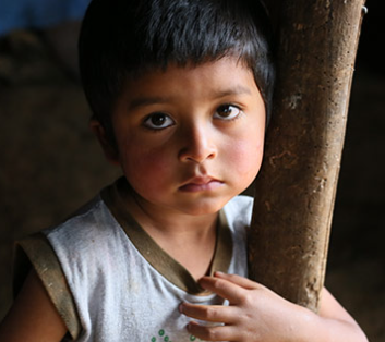 The insight of poverty