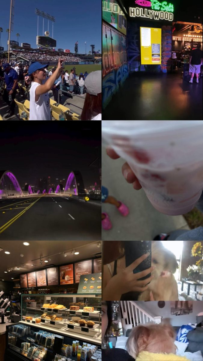 Ruth loves to go out.  Clockwise from top left: Dodgers Stadium, Fat's Sal's Hollywood, Pink at Starbucks, Ruth's pets, Starbucks, Sixth Street Bridge at night.