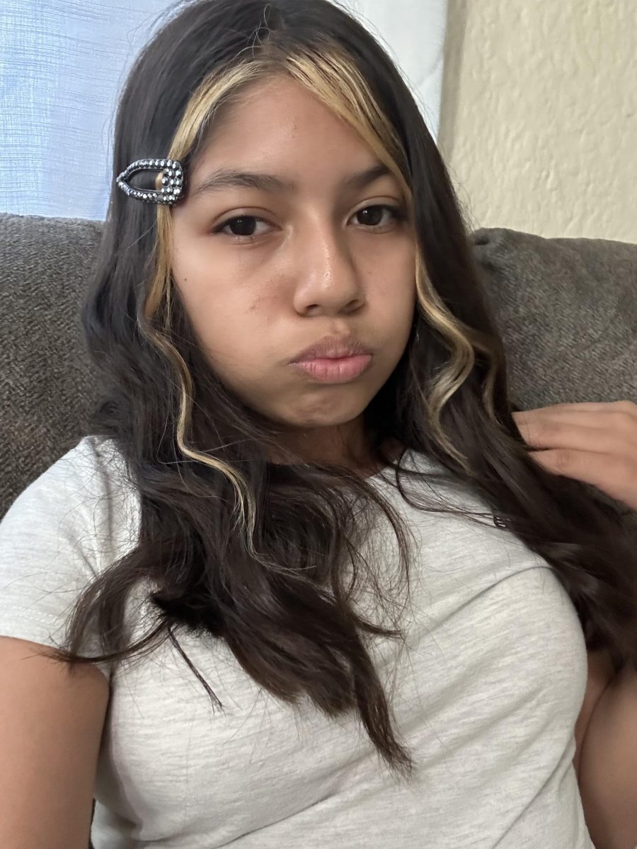 Hayden gets ready to go to Las Vegas, before she goes she takes a picture to ask her friends for an opinion on her hair.