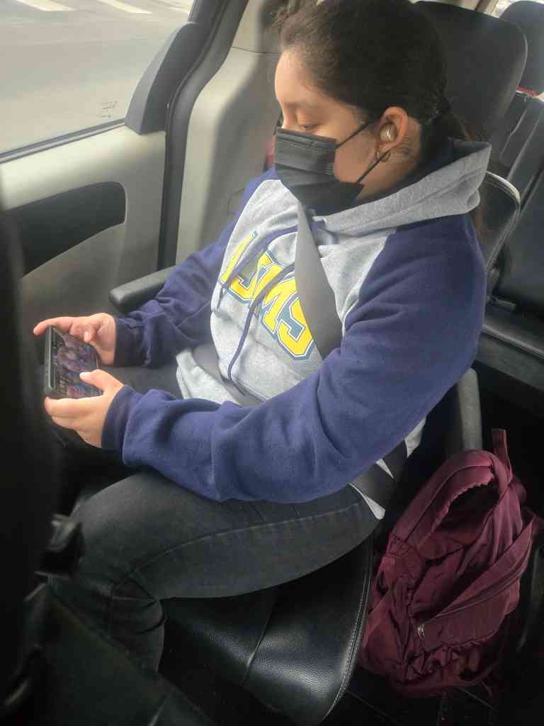 Luna playing Cookie Run Kingdom on her phone, inside of her dad's car.