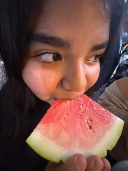 Xochitl eats a watermelon. She cut up the watermelon she wanted to eat.