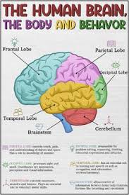 images (1)
