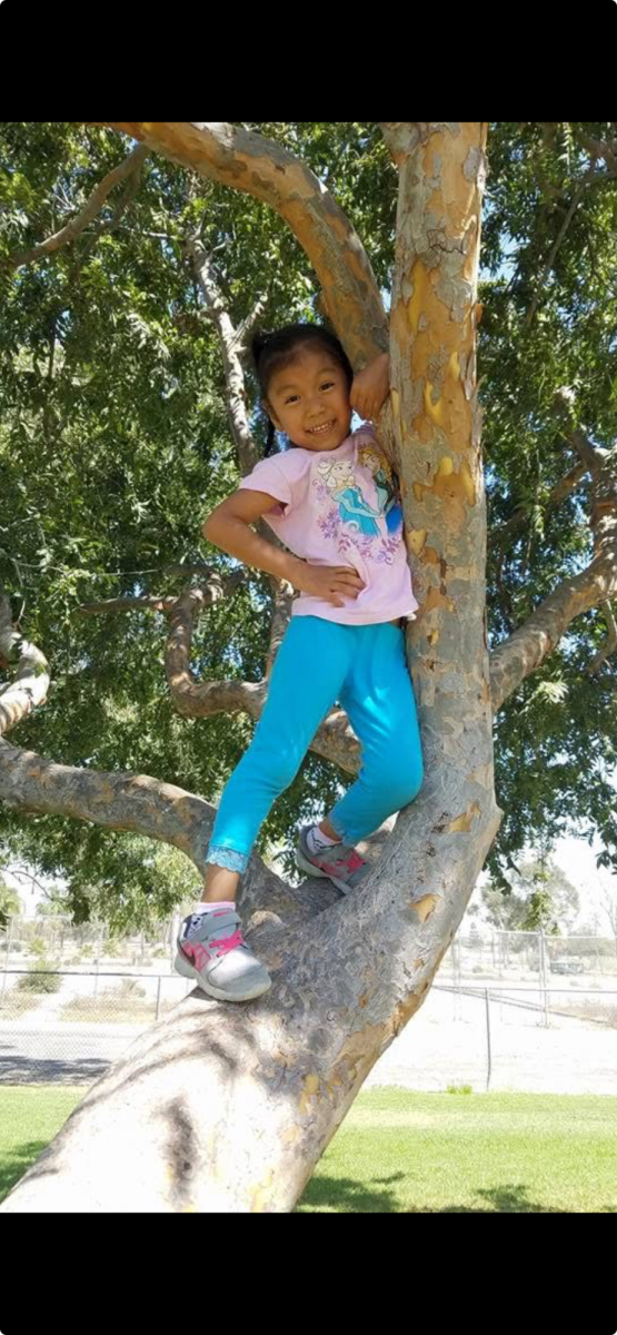 Picture of Itzia Piedras when she was younger climbing a tree at a park. 