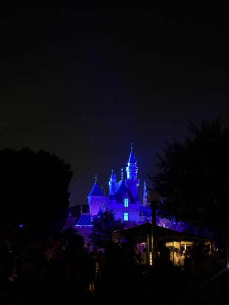 Disneyland Castle