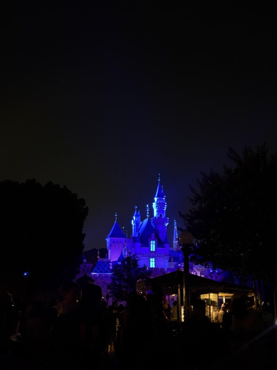 Disneyland Castle