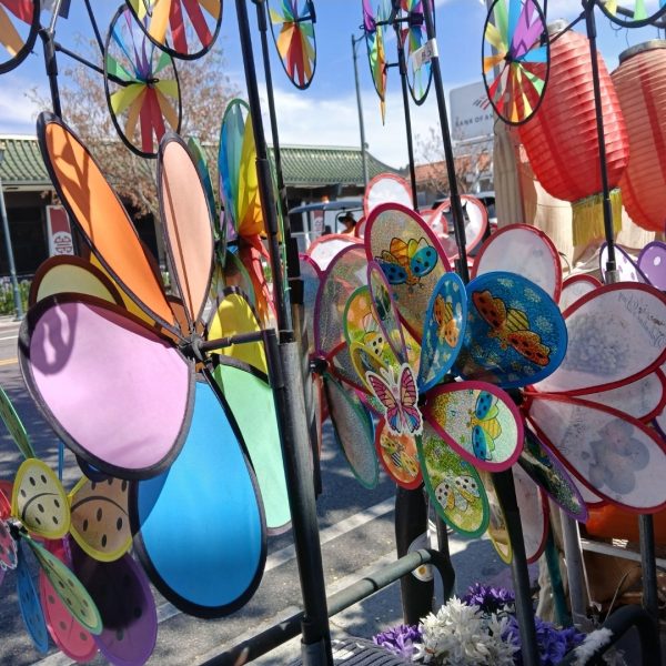 Plastic windmills that are shaped like flowers.